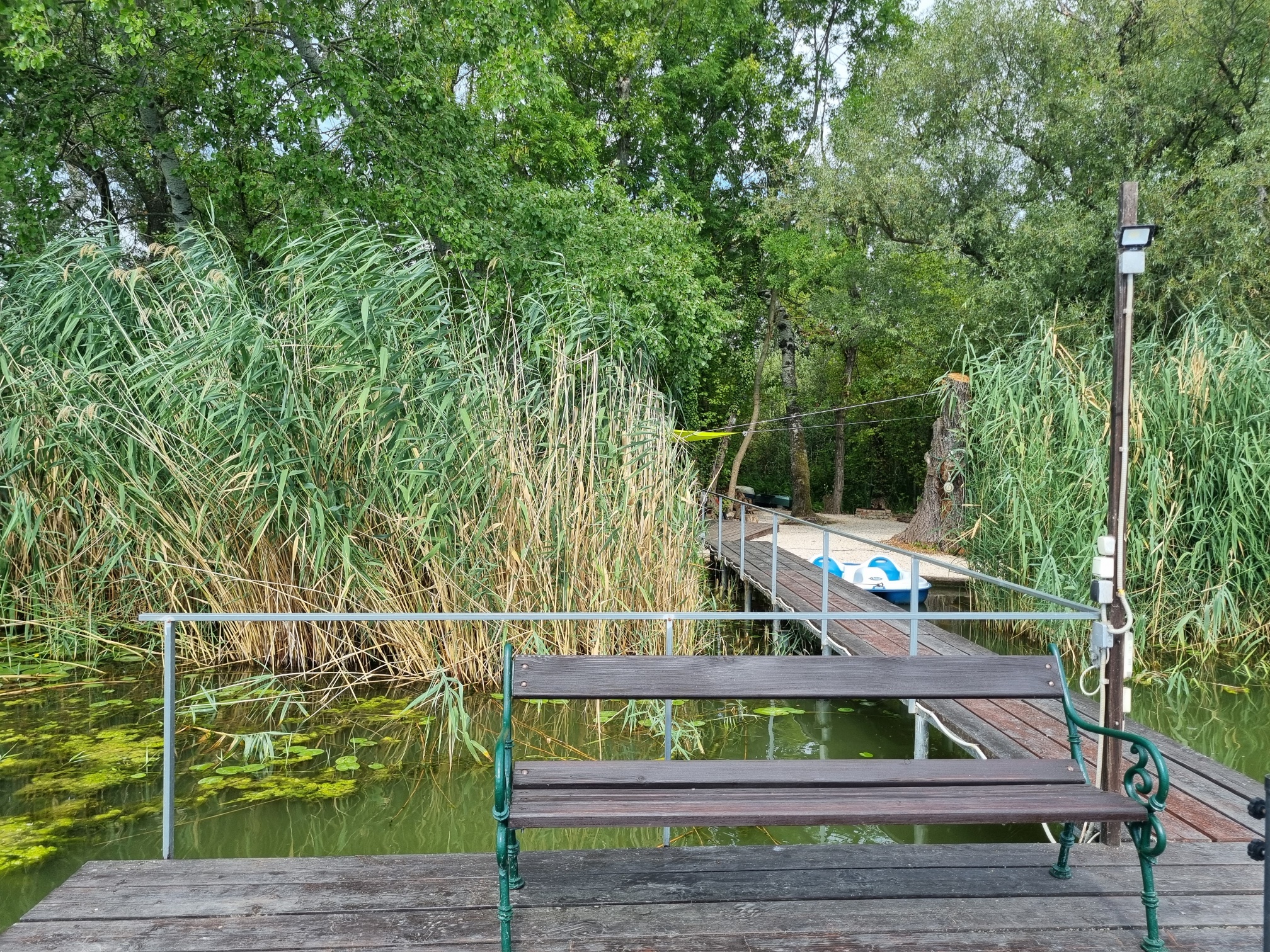 BigCarpHome Vendégház